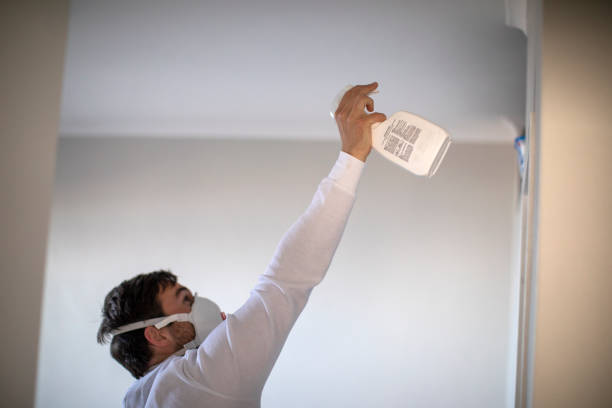 Best Home Mold Removal  in Bennettsville, SC